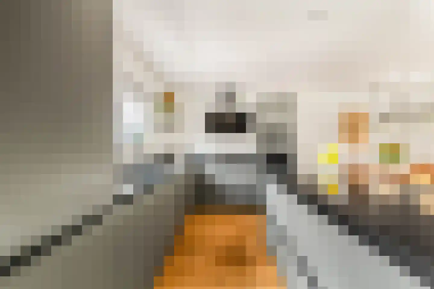 Binnenkruier 96 Stompetoren thumbnail 19