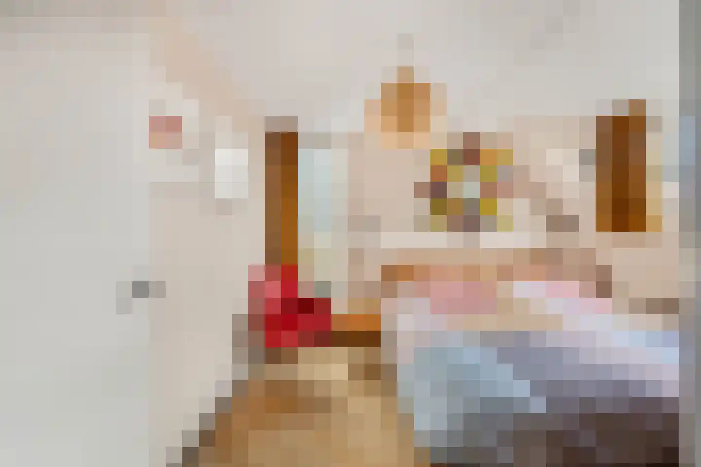 Binnenkruier 96 Stompetoren thumbnail 24