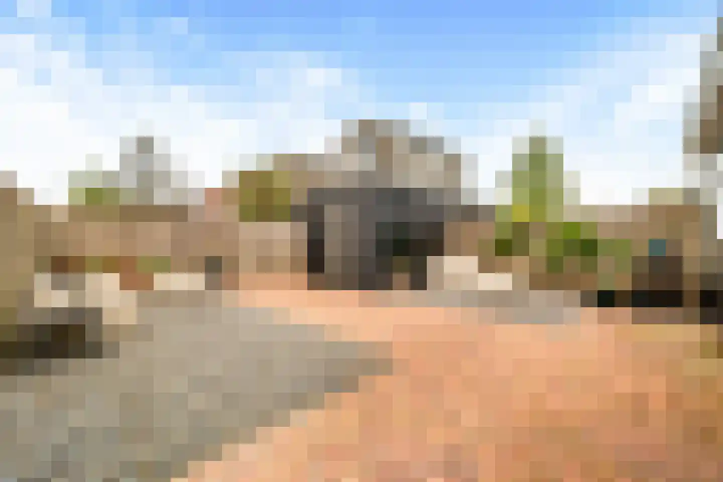 Binnenkruier 96 Stompetoren thumbnail 38