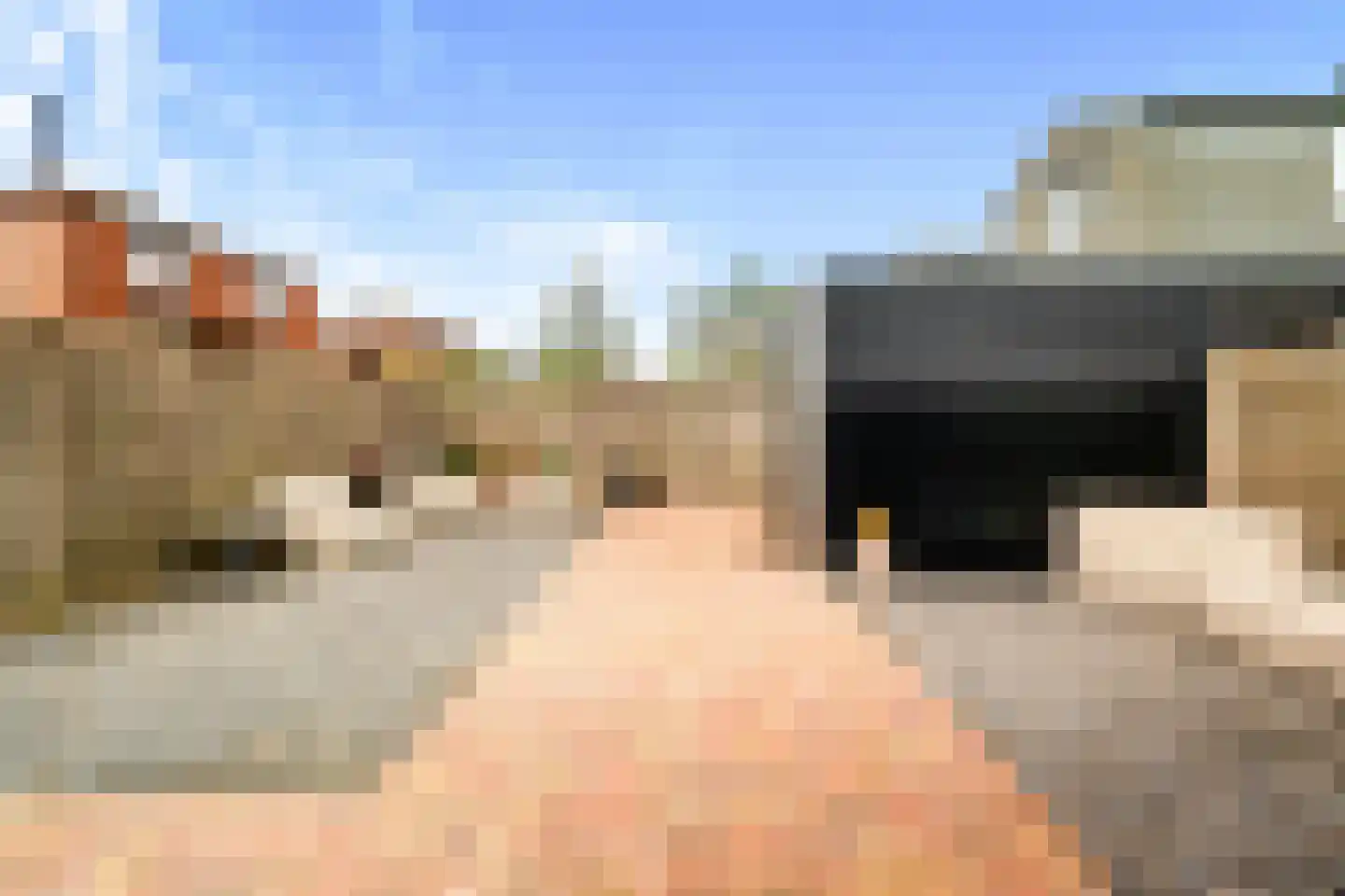 Binnenkruier 96 Stompetoren thumbnail 40