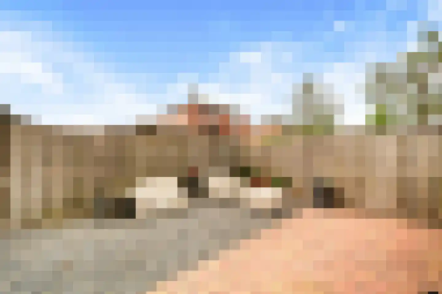 Binnenkruier 96 Stompetoren thumbnail 43