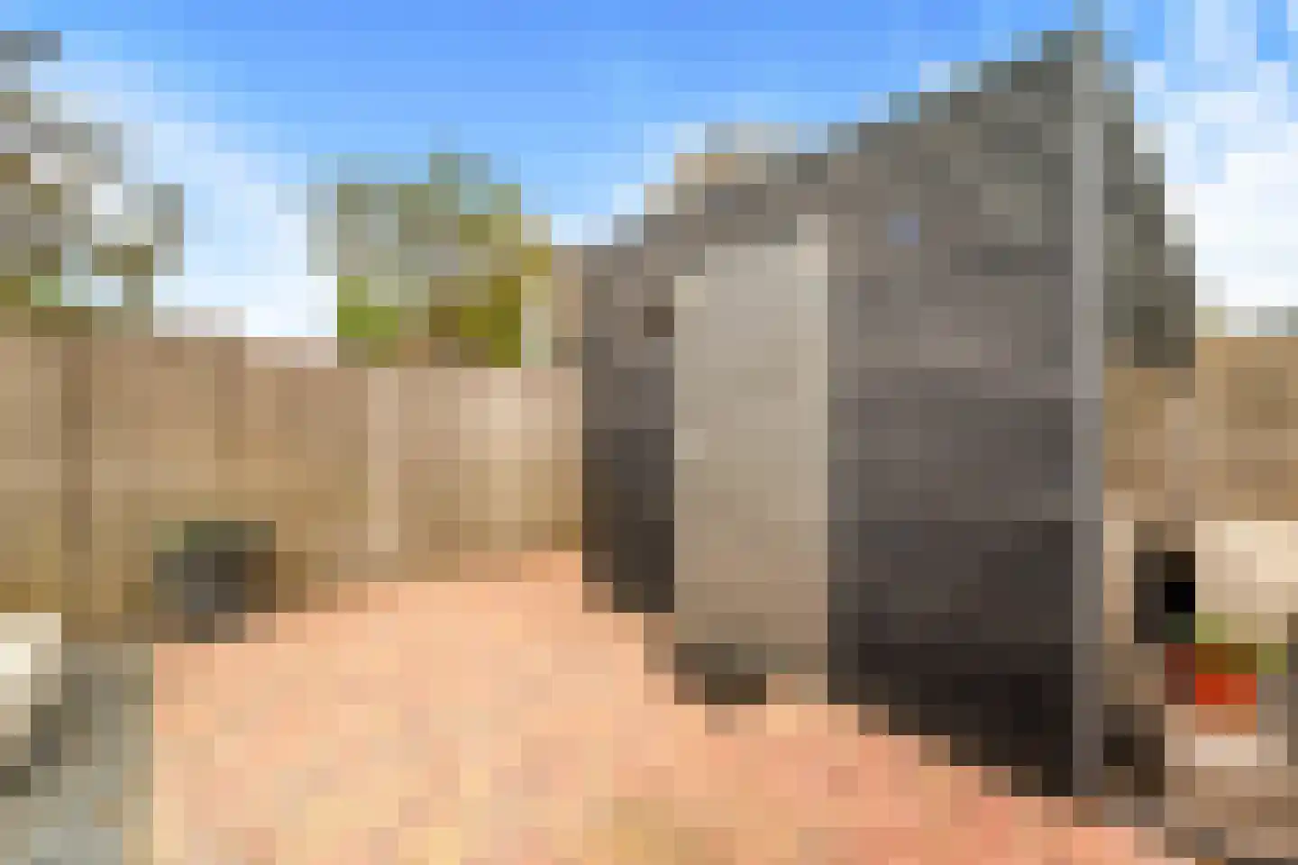 Binnenkruier 96 Stompetoren thumbnail 44