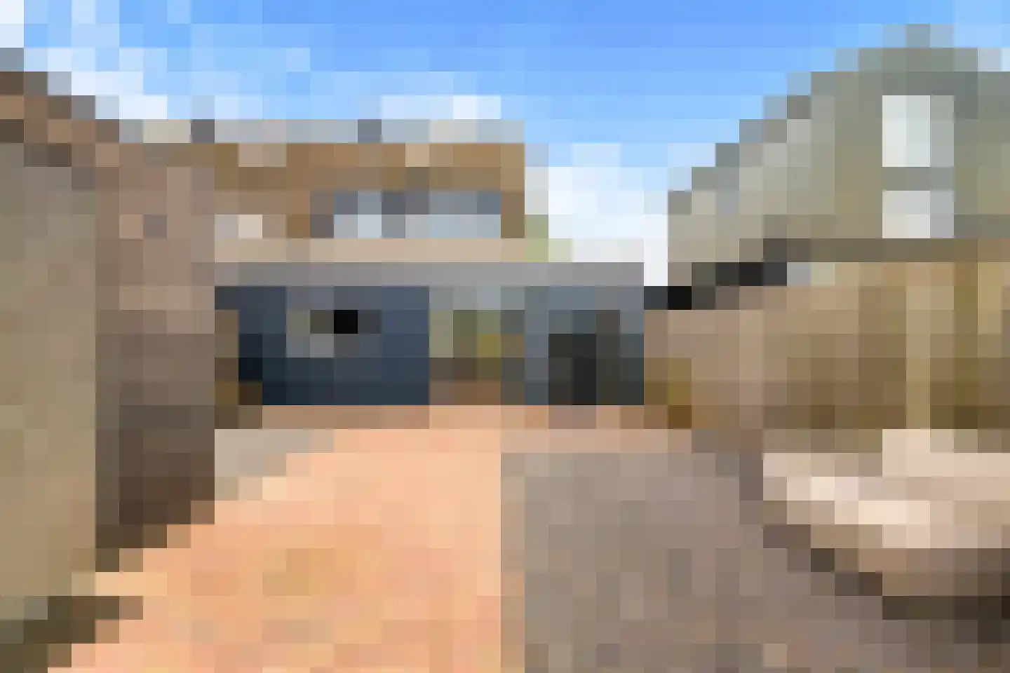 Binnenkruier 96 Stompetoren thumbnail 45