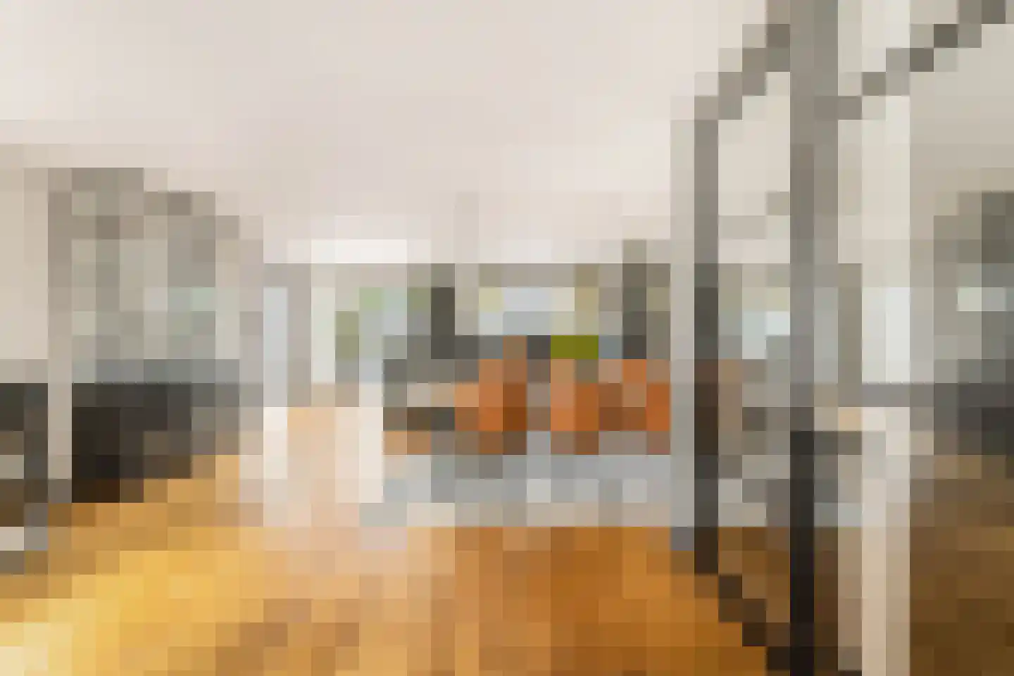 Binnenkruier 96 Stompetoren thumbnail 5