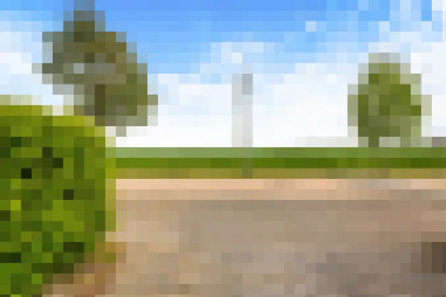 Binnenkruier 96 Stompetoren thumbnail 51