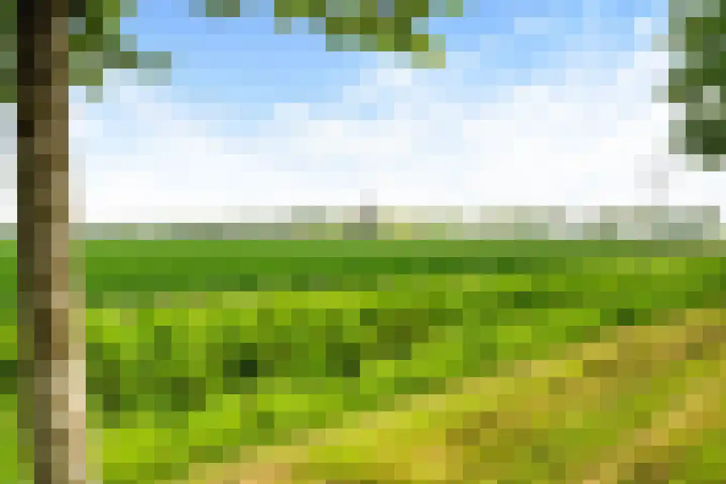 Binnenkruier 96 Stompetoren thumbnail 52