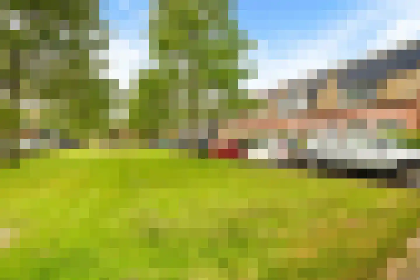 Binnenkruier 96 Stompetoren thumbnail 53