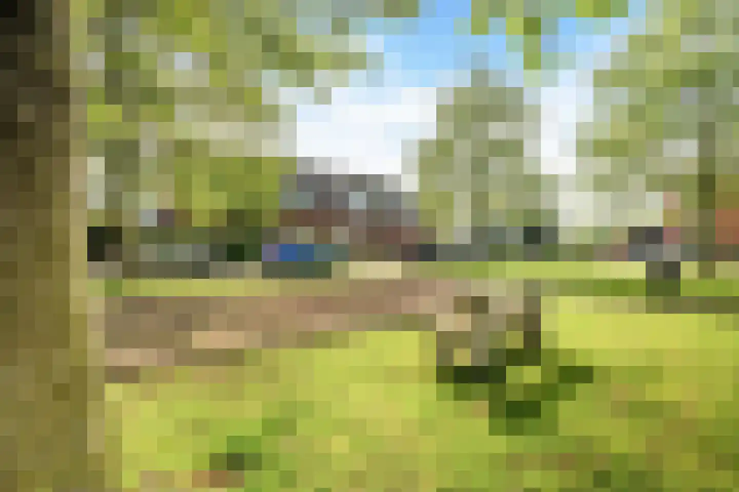 Binnenkruier 96 Stompetoren thumbnail 54