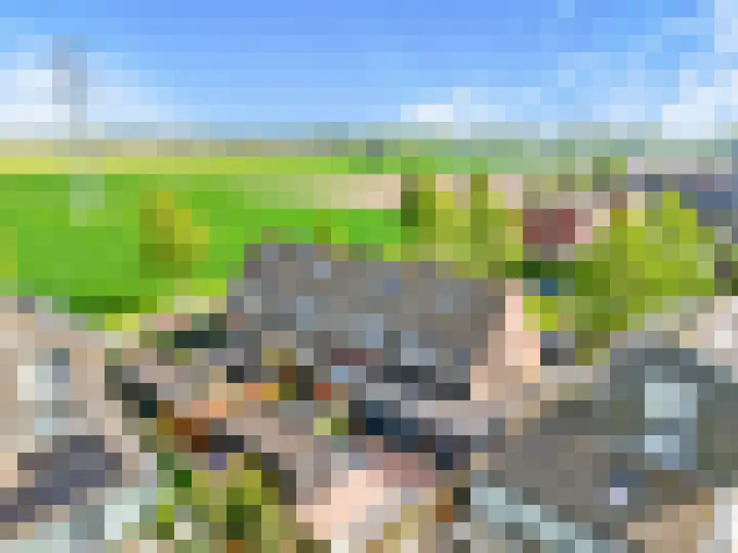 Binnenkruier 96 Stompetoren thumbnail 56