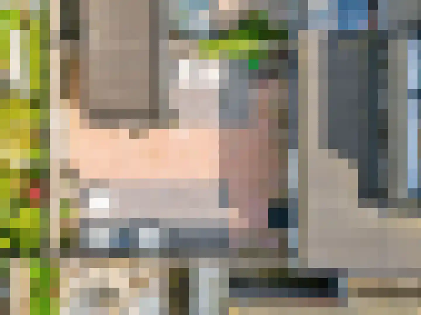 Binnenkruier 96 Stompetoren thumbnail 57