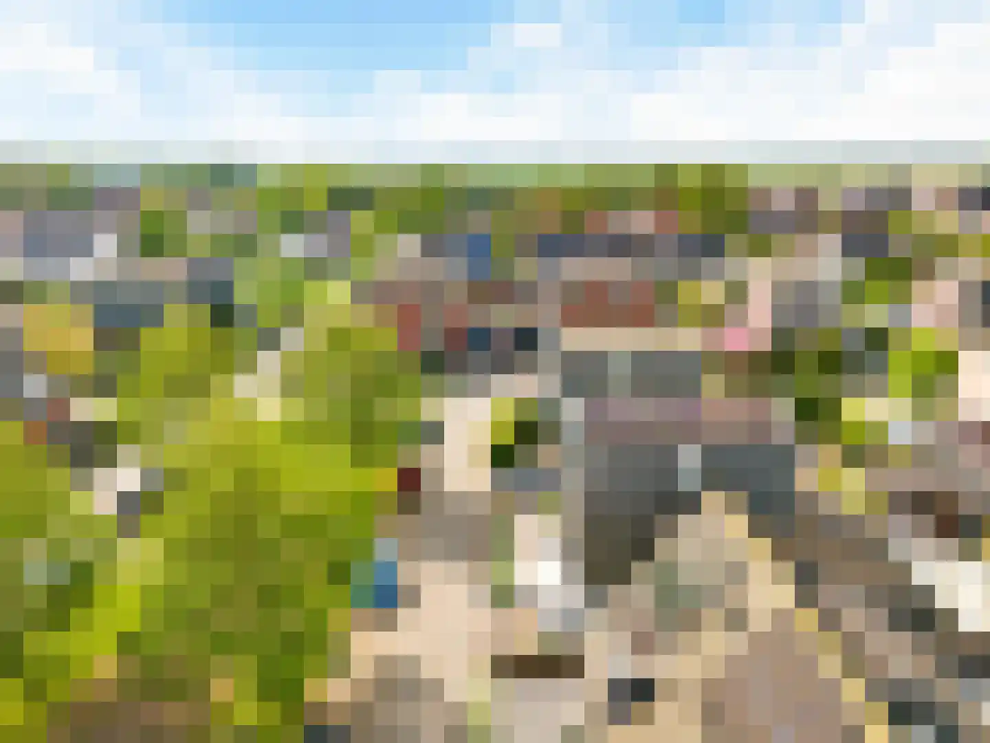 Binnenkruier 96 Stompetoren thumbnail 59