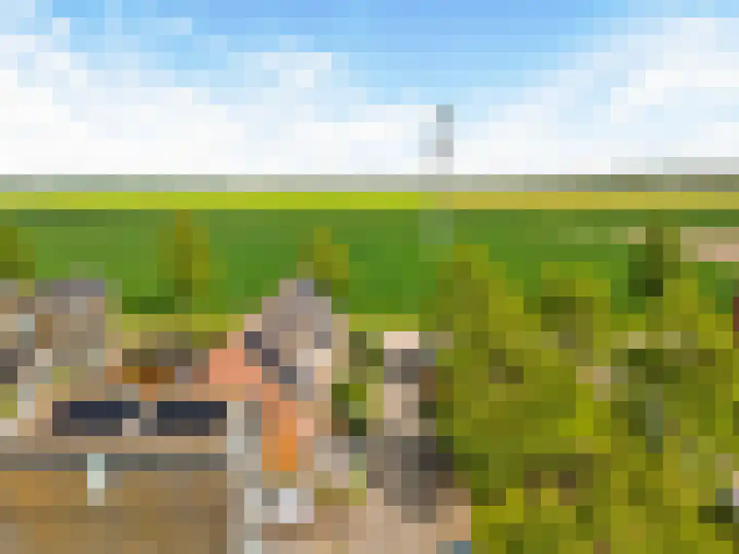Binnenkruier 96 Stompetoren thumbnail 60