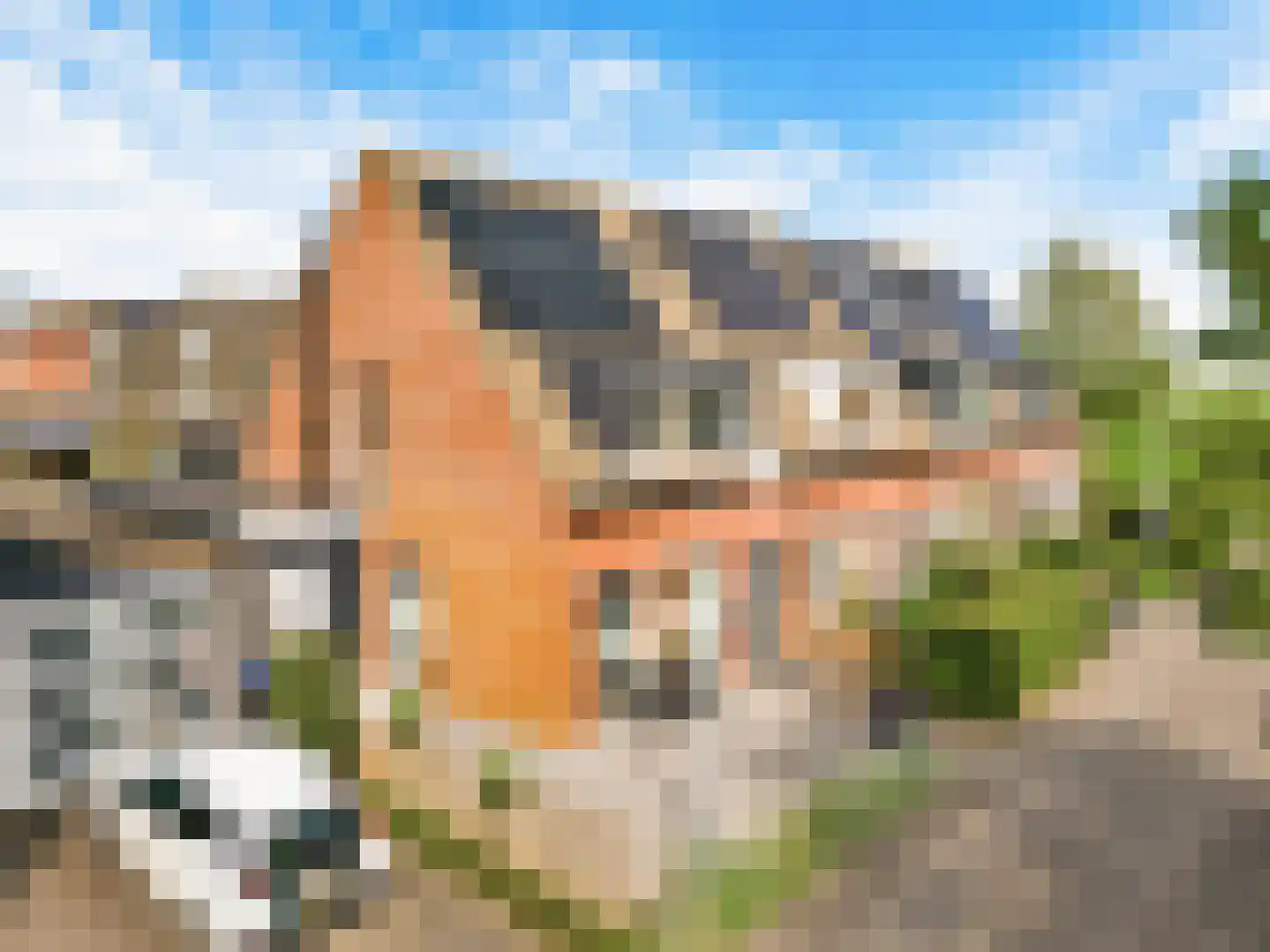 Binnenkruier 96 Stompetoren thumbnail 61