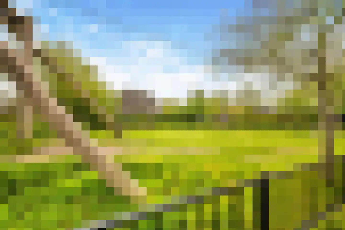 Binnenkruier 96 Stompetoren thumbnail 62