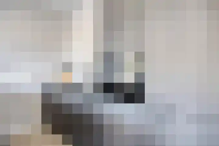 Binnenlandse Baan 106 Barendrecht thumbnail 14