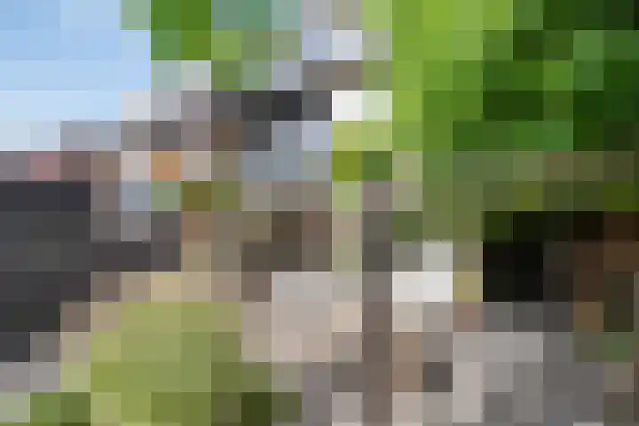Binnenlandse Baan 44 Barendrecht thumbnail 41