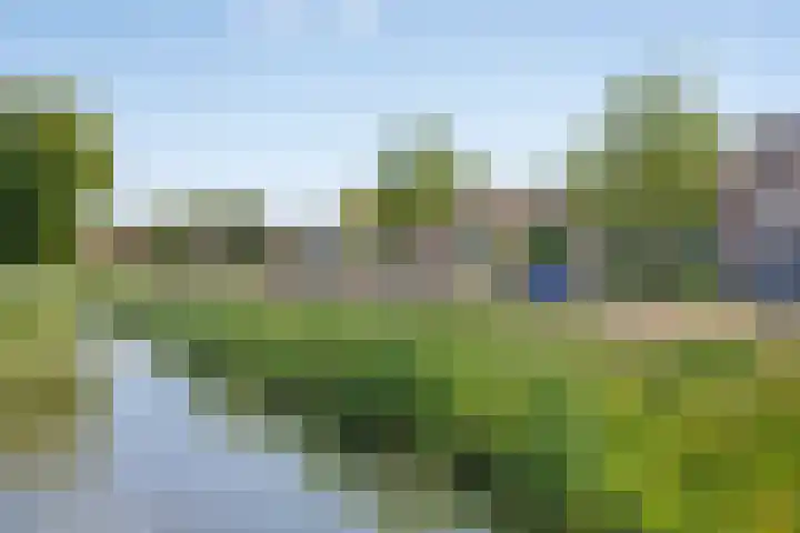 Binnenlandse Baan 44 Barendrecht thumbnail 49