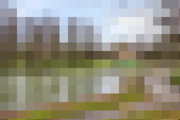 Binnenluiendijk 30 Hoorn thumbnail 26