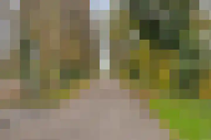 Binnenluiendijk 30 Hoorn thumbnail 27