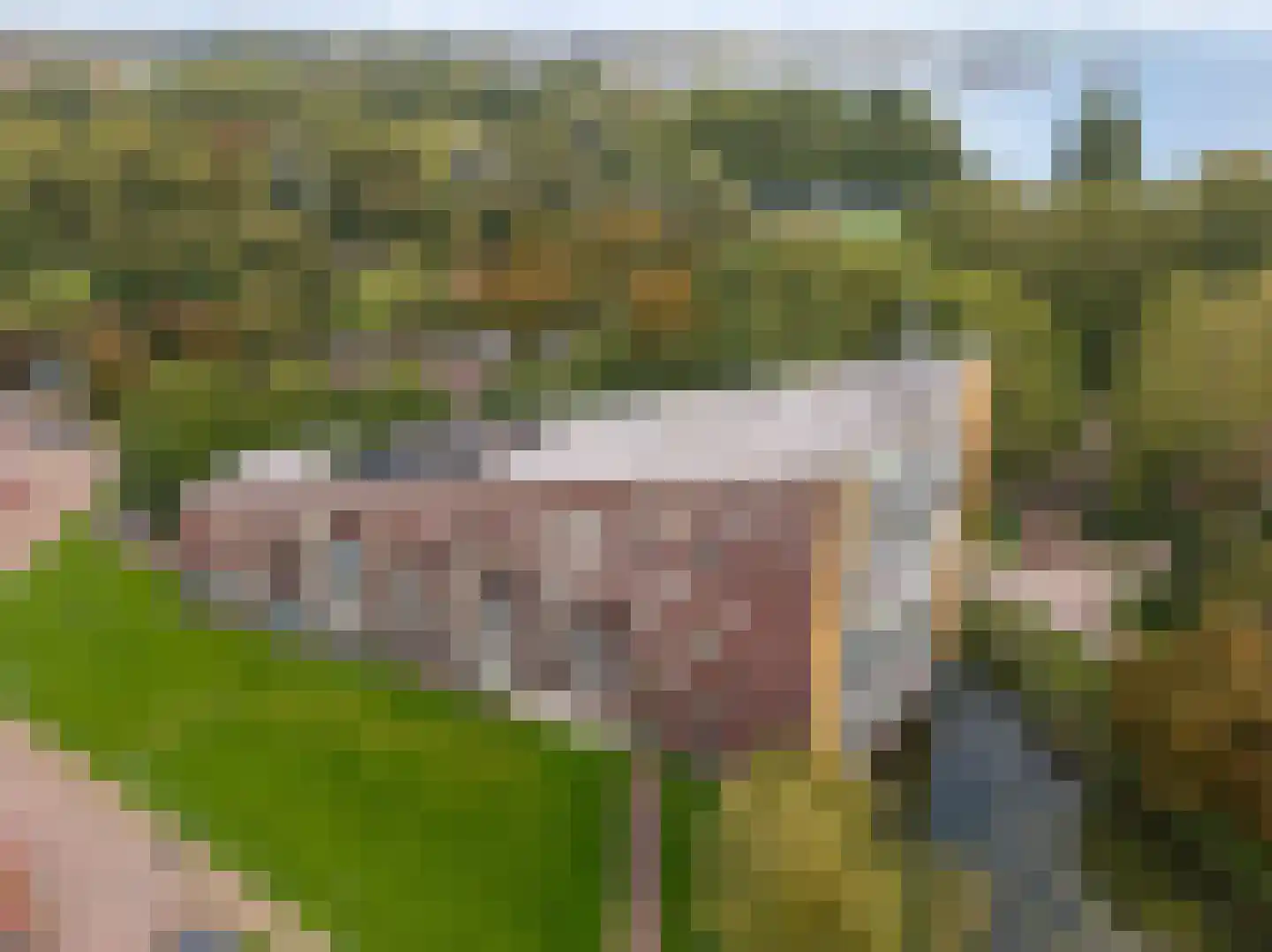 Binnenluiendijk 45 Hoorn thumbnail 33