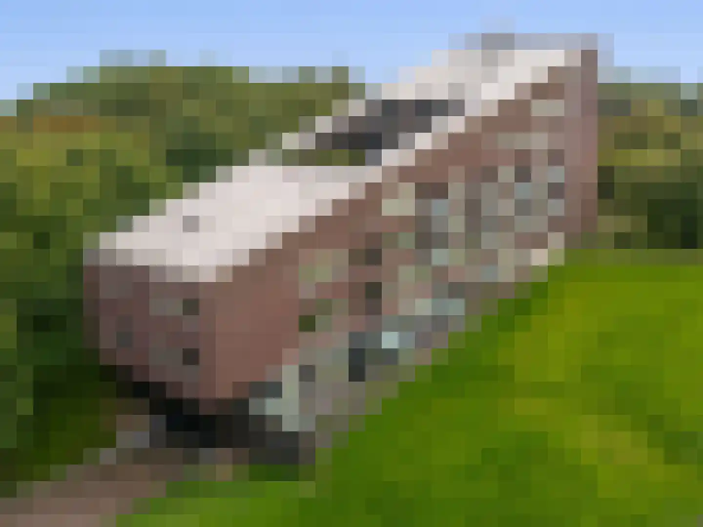 Binnenluiendijk 45 Hoorn thumbnail 34