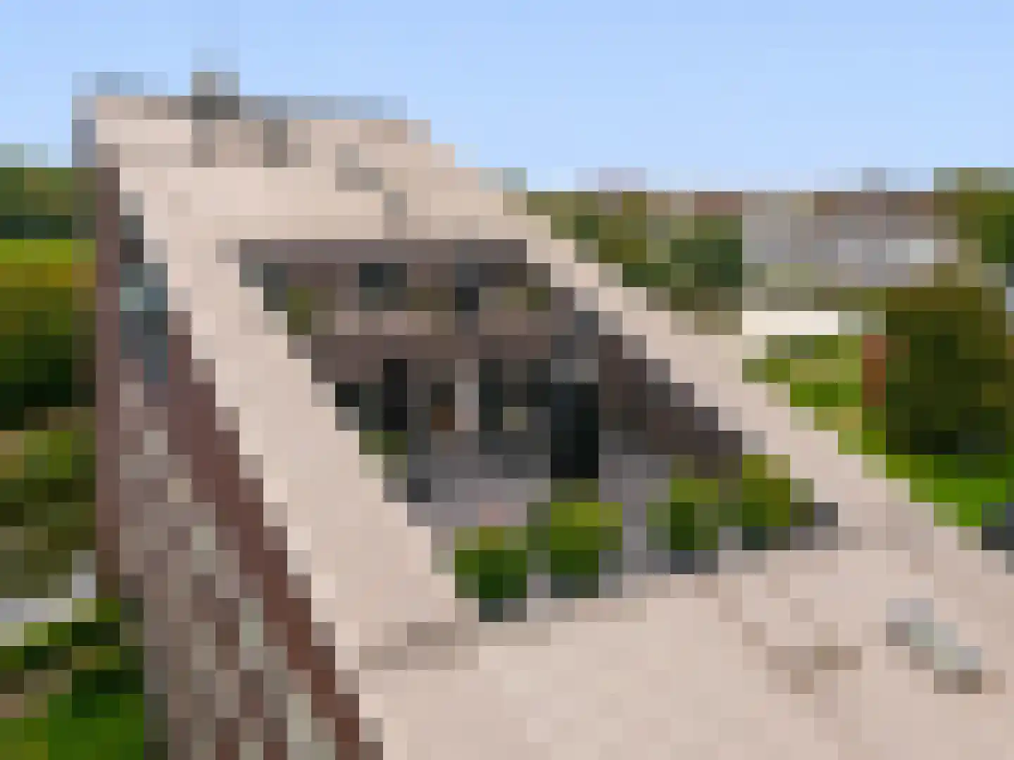 Binnenluiendijk 45 Hoorn thumbnail 35