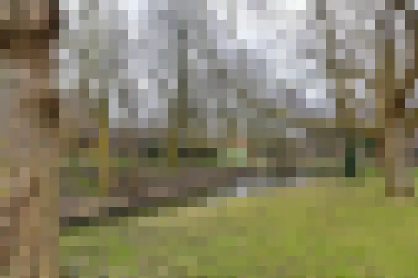 Binnenluiendijk 45 Hoorn thumbnail 48