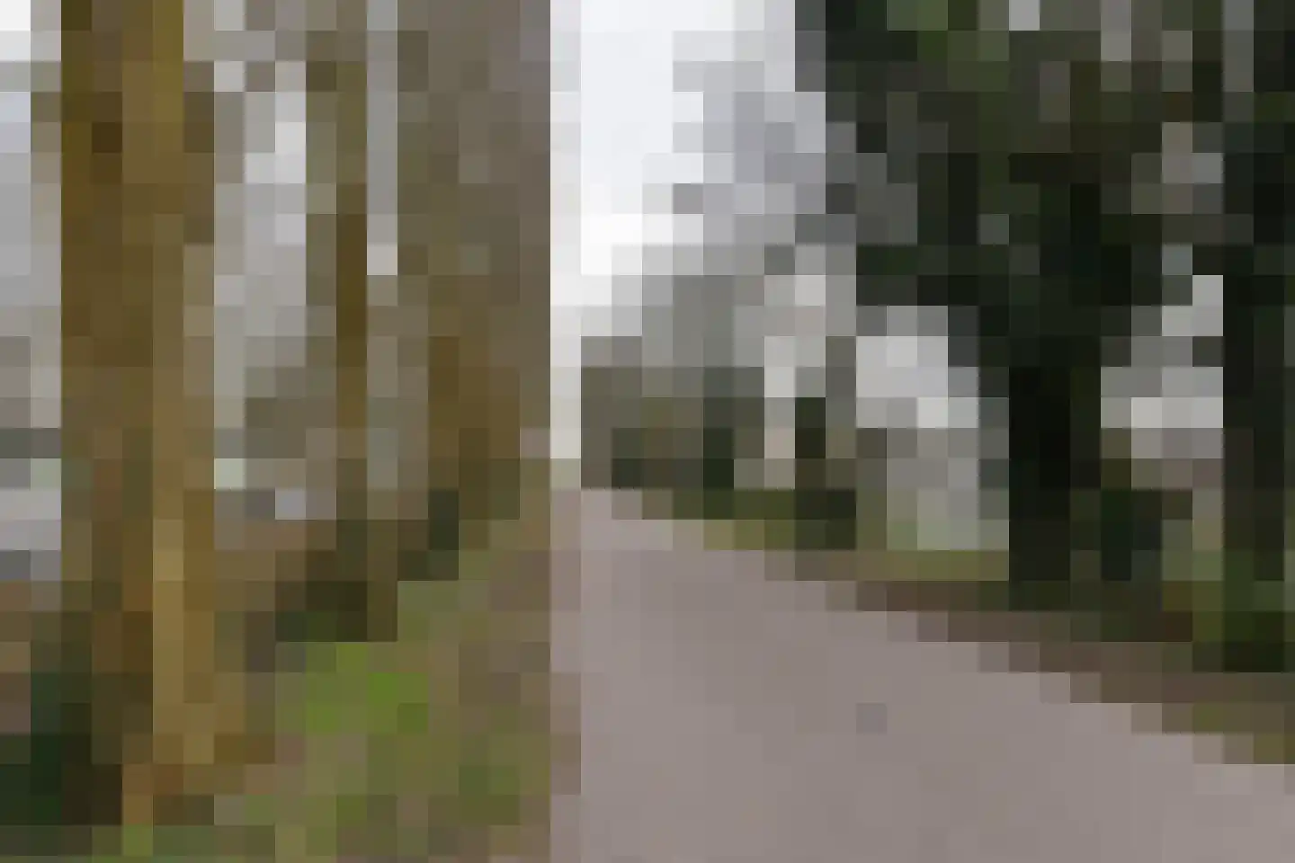Binnenluiendijk 45 Hoorn thumbnail 59