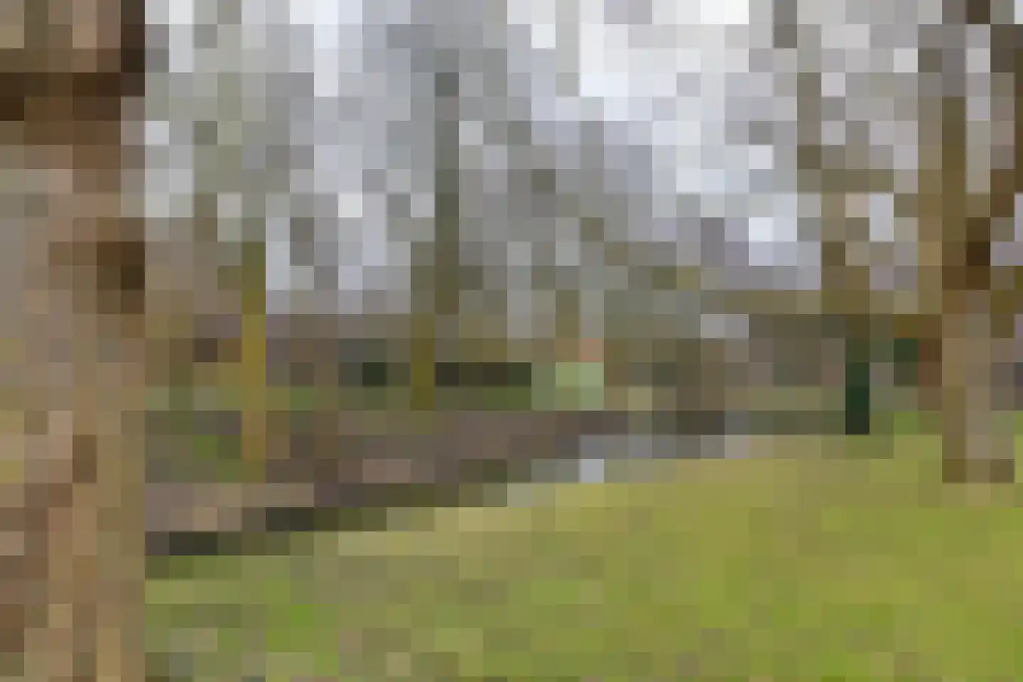 Binnenluiendijk 45 Hoorn thumbnail 60