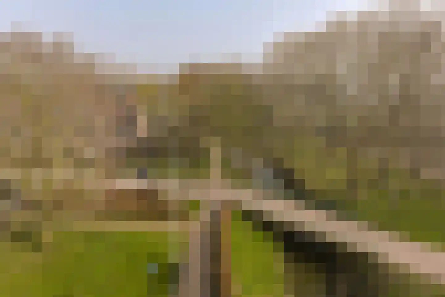Binnenluiendijk 45 Hoorn thumbnail 63