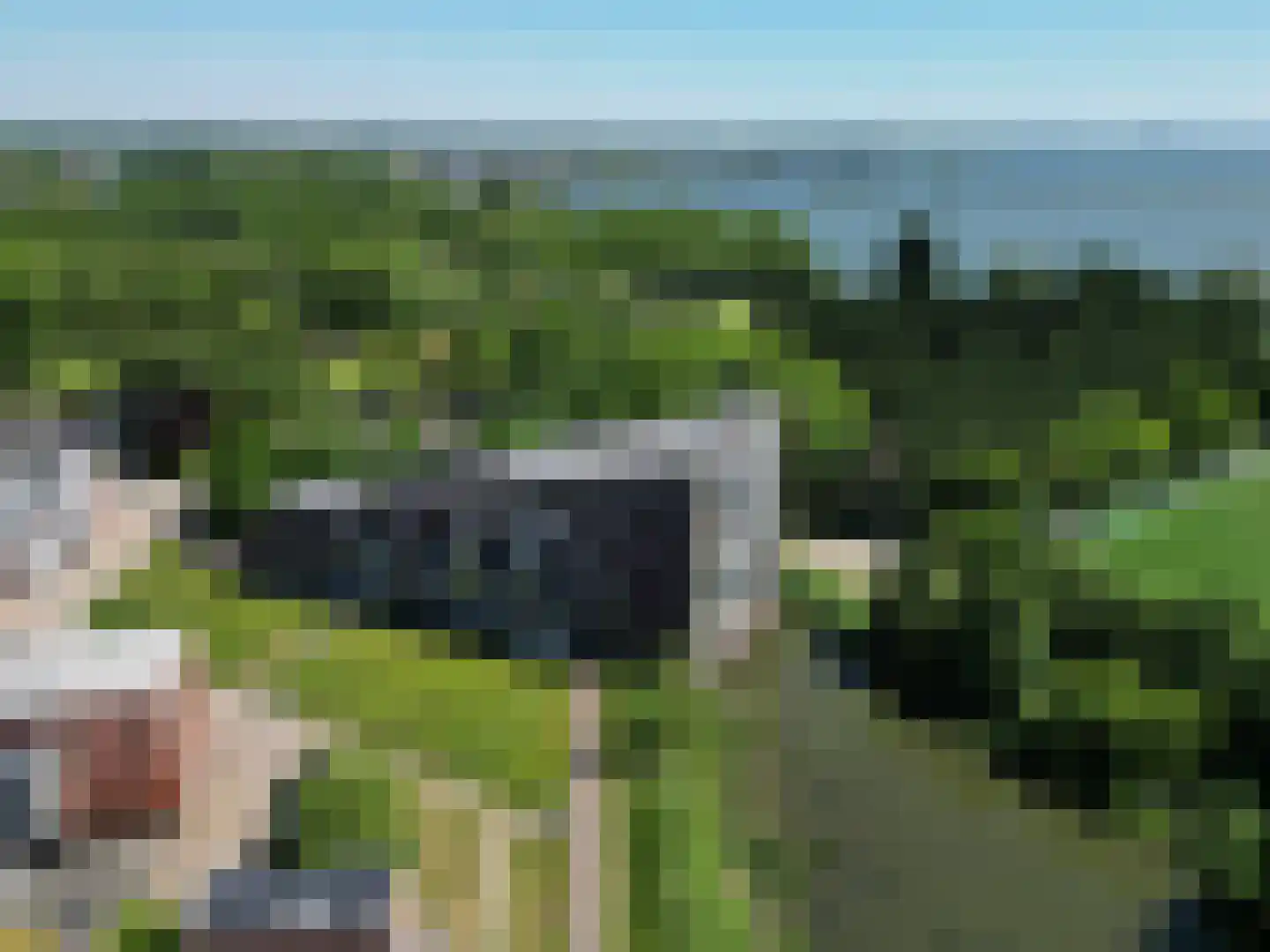 Binnenluiendijk 45 Hoorn thumbnail 70