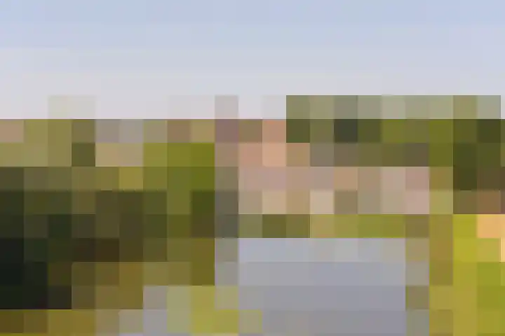 Binnenluiendijk 47 Hoorn thumbnail 14