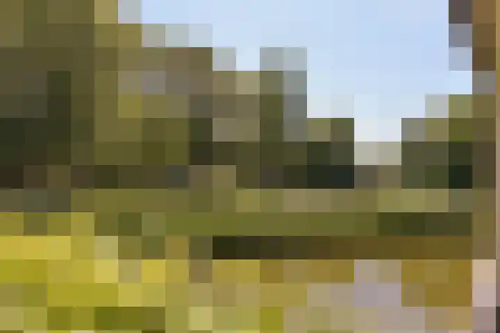 Binnenluiendijk 47 Hoorn thumbnail 23