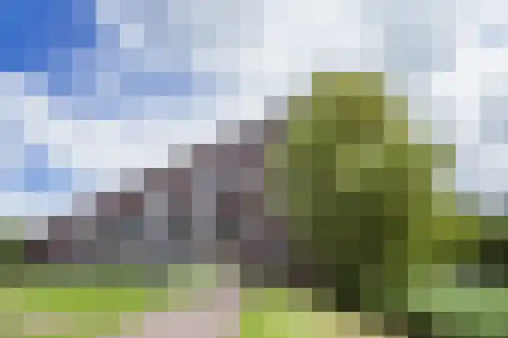 Binnenluiendijk 47 Hoorn thumbnail 25