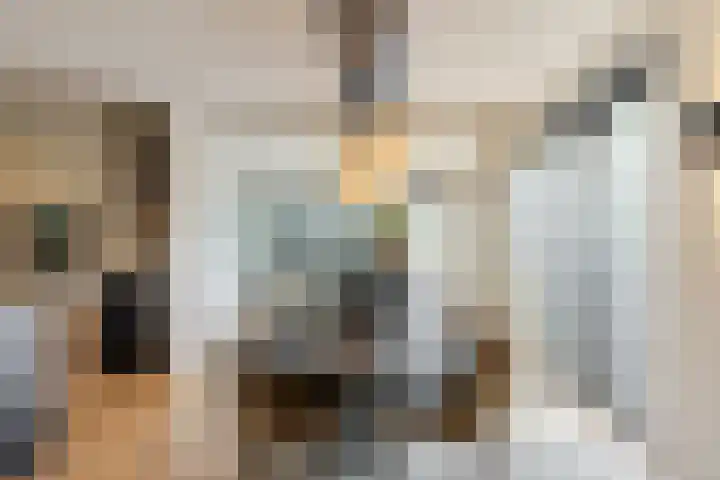 Binnenmaasoever 14 Maasdam thumbnail 11