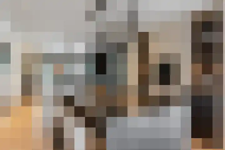 Binnenmaasoever 14 Maasdam thumbnail 12