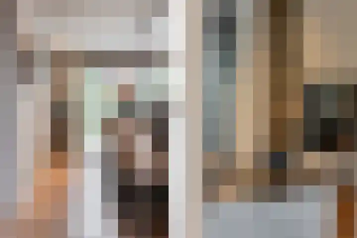 Binnenmaasoever 14 Maasdam thumbnail 13