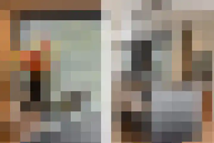 Binnenmaasoever 14 Maasdam thumbnail 14