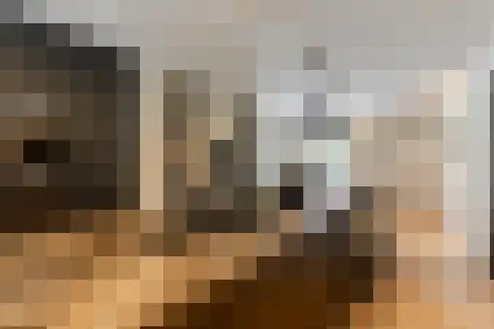Binnenmaasoever 14 Maasdam thumbnail 15