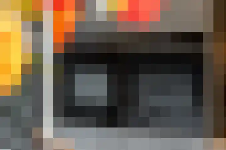 Binnenmaasoever 14 Maasdam thumbnail 16
