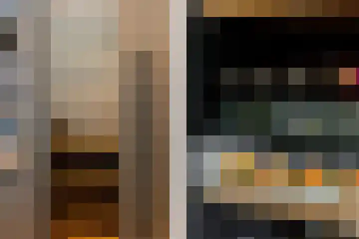 Binnenmaasoever 14 Maasdam thumbnail 17