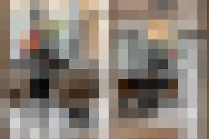 Binnenmaasoever 14 Maasdam thumbnail 18