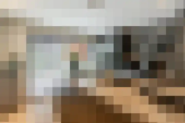 Binnenmaasoever 14 Maasdam thumbnail 19