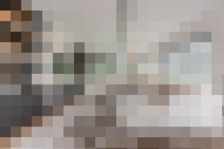 Binnenmaasoever 14 Maasdam foto 2