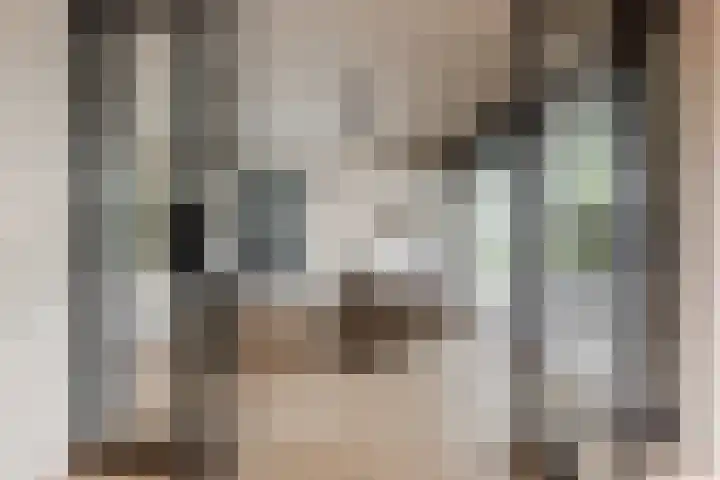 Binnenmaasoever 14 Maasdam thumbnail 20
