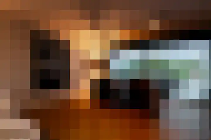 Binnenmaasoever 14 Maasdam thumbnail 21