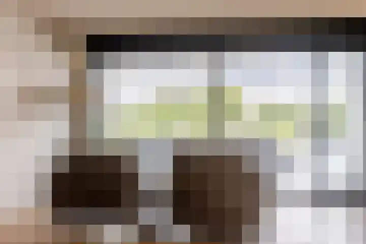 Binnenmaasoever 14 Maasdam thumbnail 22