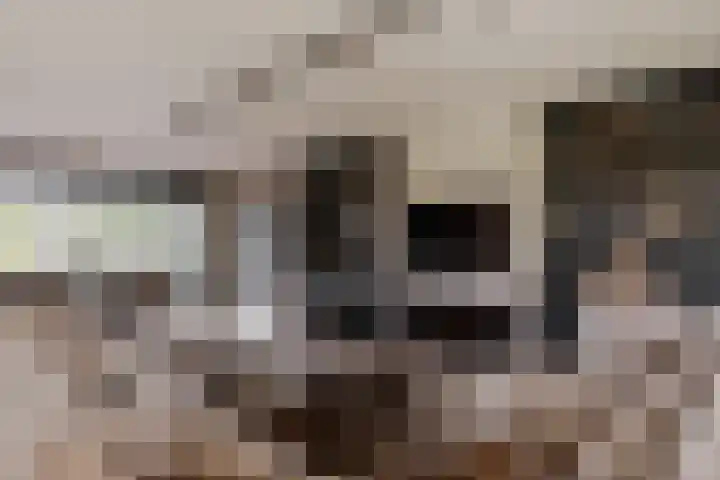 Binnenmaasoever 14 Maasdam thumbnail 24