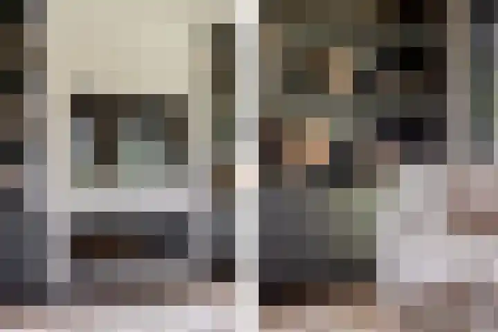 Binnenmaasoever 14 Maasdam thumbnail 25