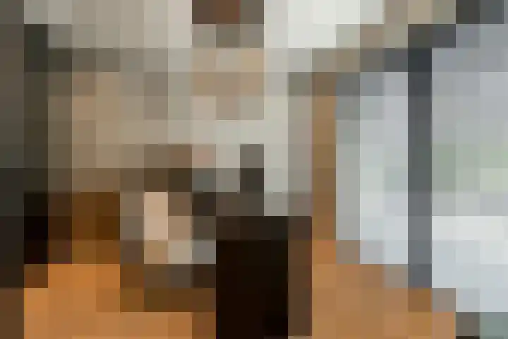 Binnenmaasoever 14 Maasdam thumbnail 26